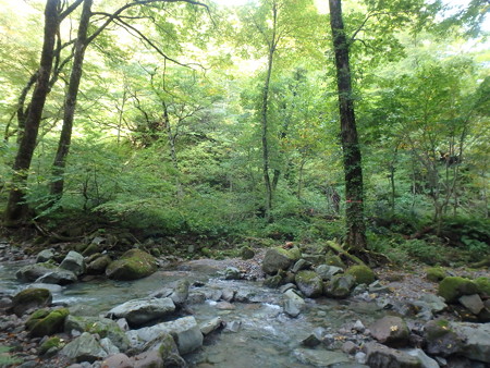 PA080025