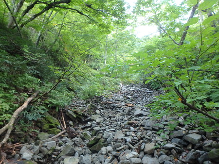 PA080026