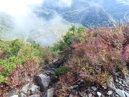 PA080056