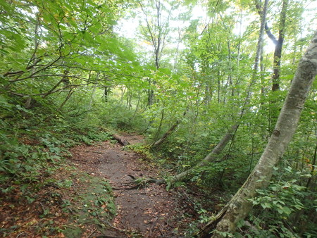 PA080094