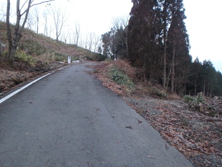 P1200004