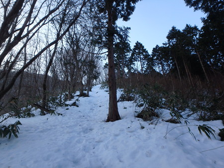 P1200018