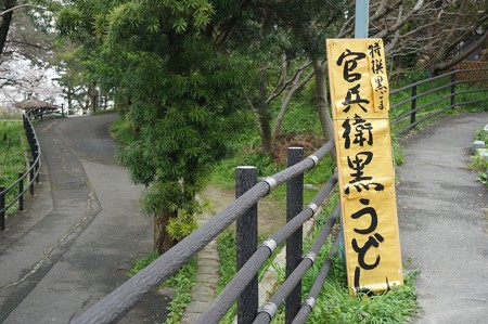 2017年4月9日 西公園 桜 福岡 さくら 写真 (34)