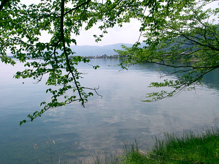 湖北の水は綺麗です