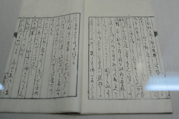 福井龍馬紀行67