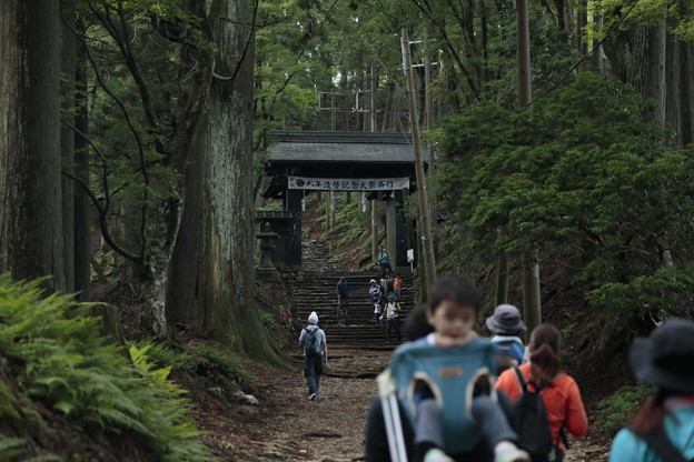京都･愛宕山12