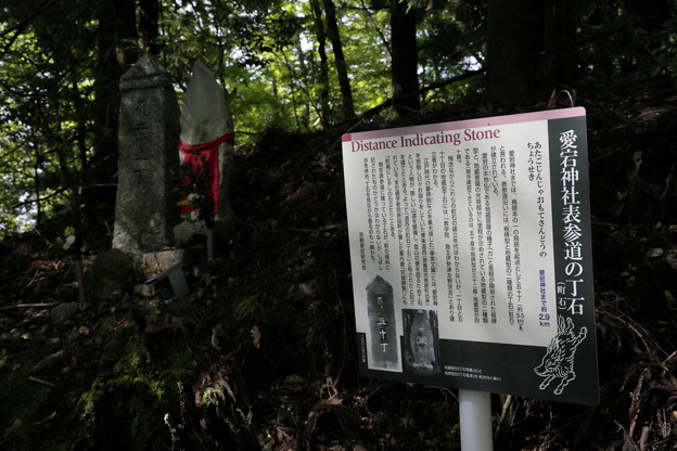 京都･愛宕山05