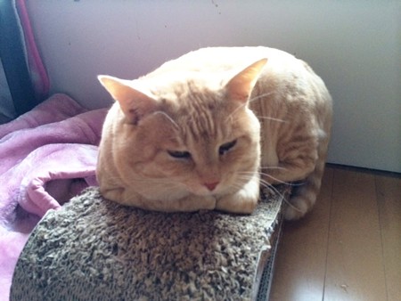 1127ルーム7ずんくん