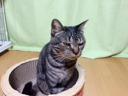 ’141219ルーム7きーくん2