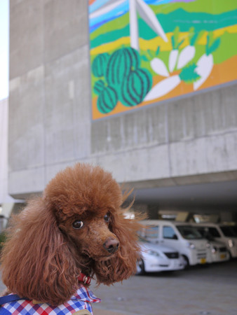 三崎港「うらり」前でお母さんを待っております