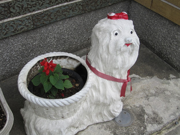 Photos: IMG_1962