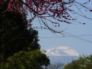 梅雪山