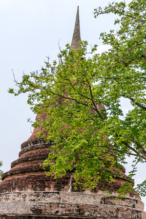 Wat chana songkramかな?