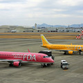 Photos: 県営名古屋空港にて　FDAが2機　IMG_0974_2