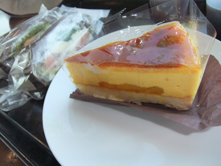 DSCF0004