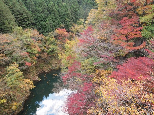 惣岳渓谷 しだくら橋より 写真共有サイト フォト蔵