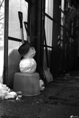 Blog_20141206_005