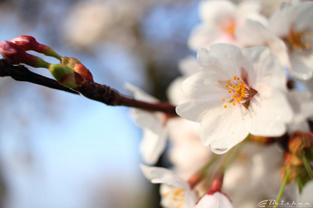 Blog_20170429_00002