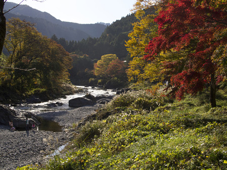 鵜の瀬橋上流方向