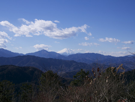 M.Z.D. 25mm F1.8で撮影