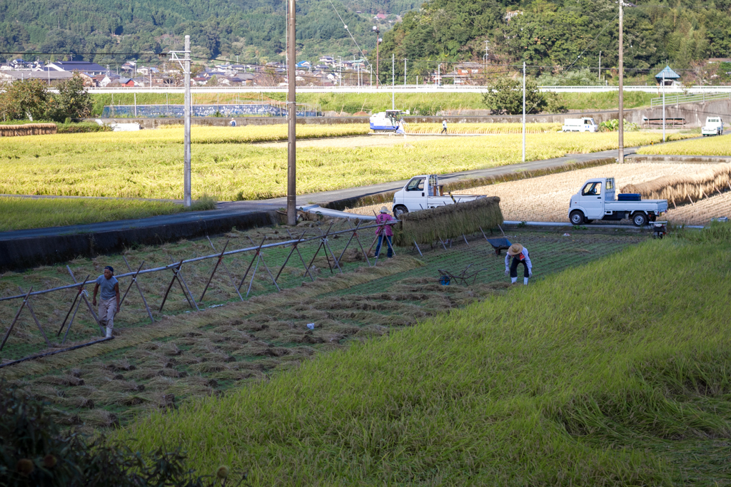 IMG_1101 写真: IMG_1101