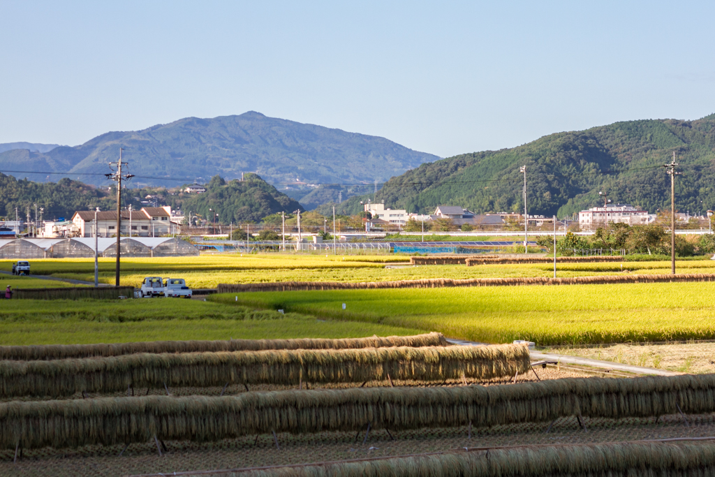 IMG_1121 写真: IMG_1121