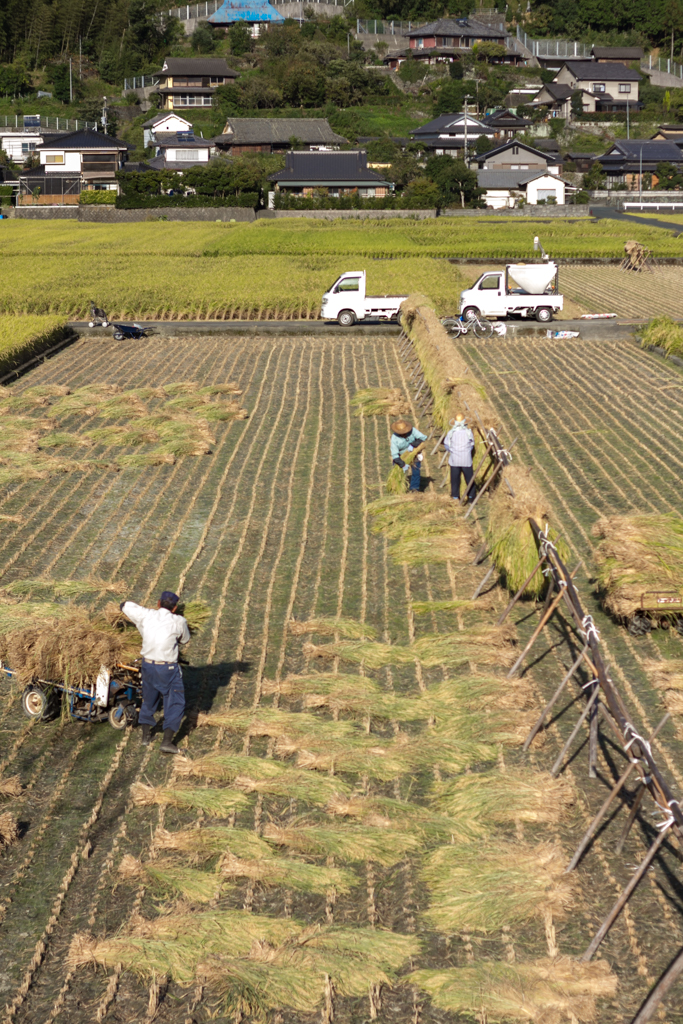 IMG_1150 写真: IMG_1150