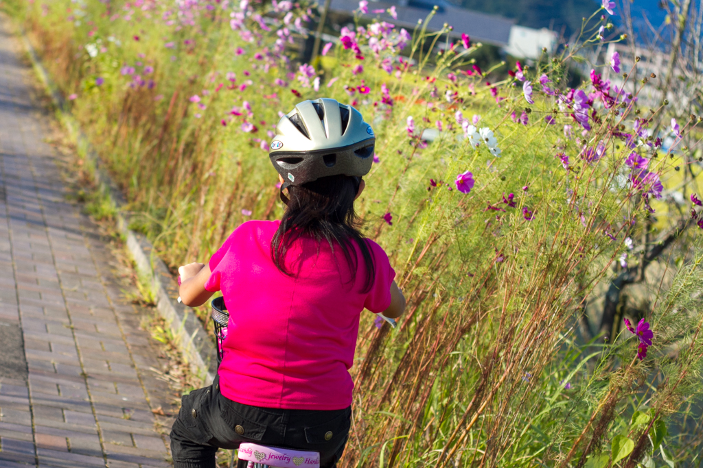 IMG_1227 写真: IMG_1227