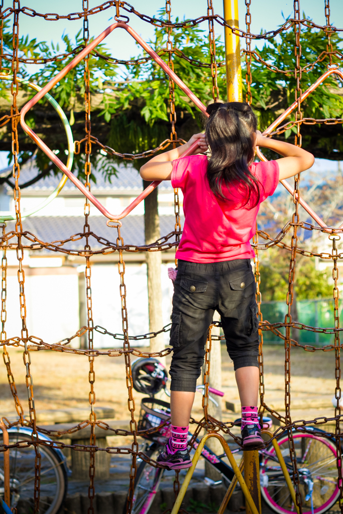 IMG_1309 写真: IMG_1309