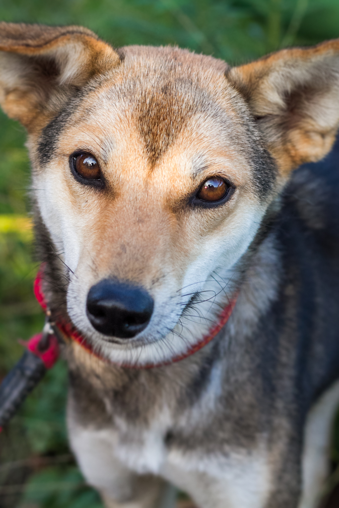 IMG_1356 写真: IMG_1356