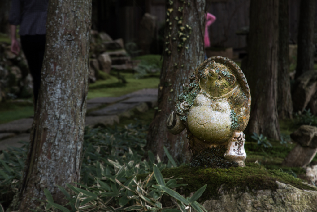 写真: IMG_3282