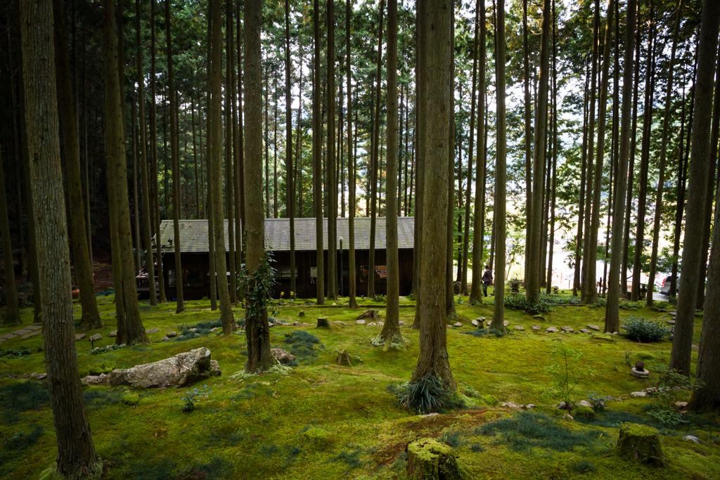 写真: IMG_3300