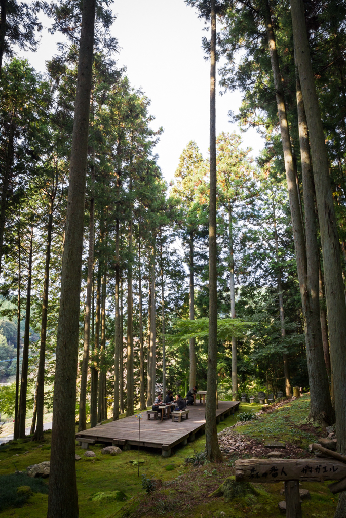 写真: IMG_3305