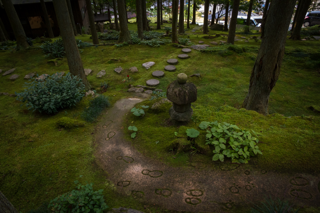 写真: IMG_3371
