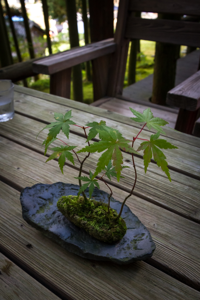 写真: IMG_3406