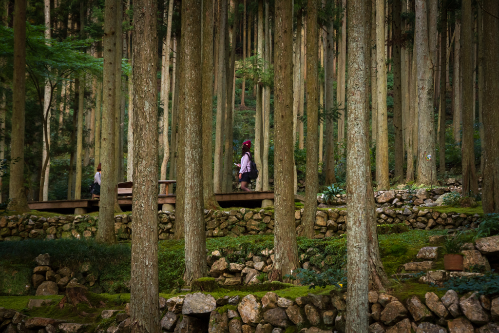 写真: IMG_3468