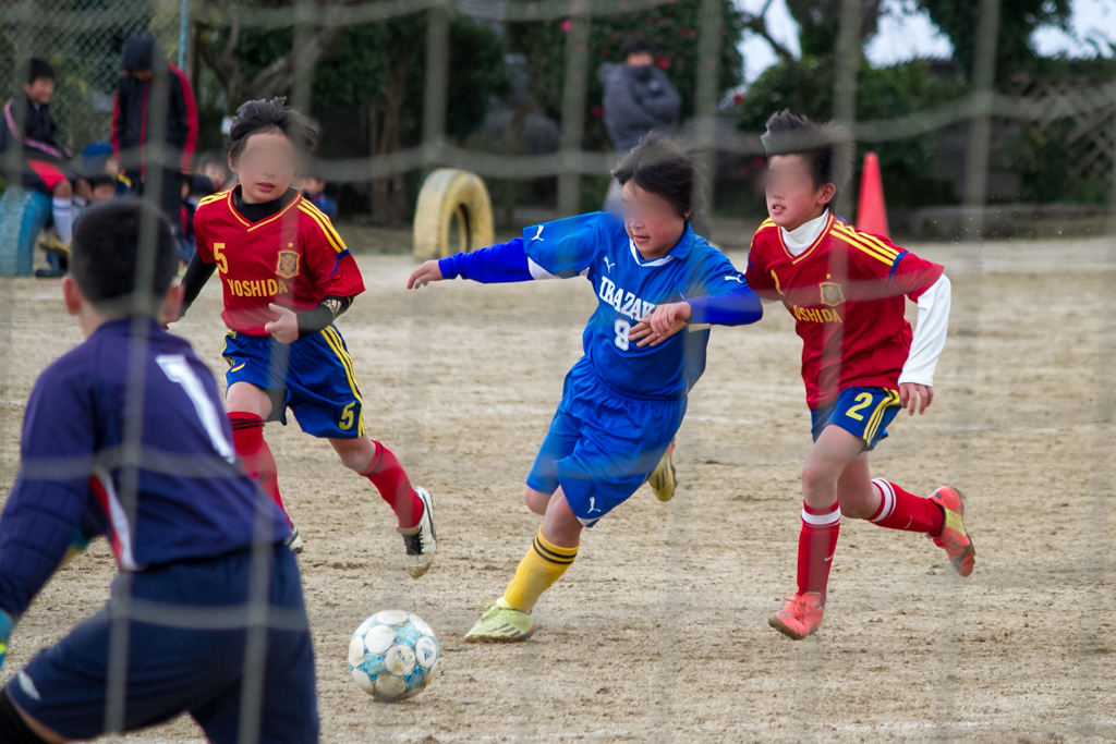 写真: IMG_6352