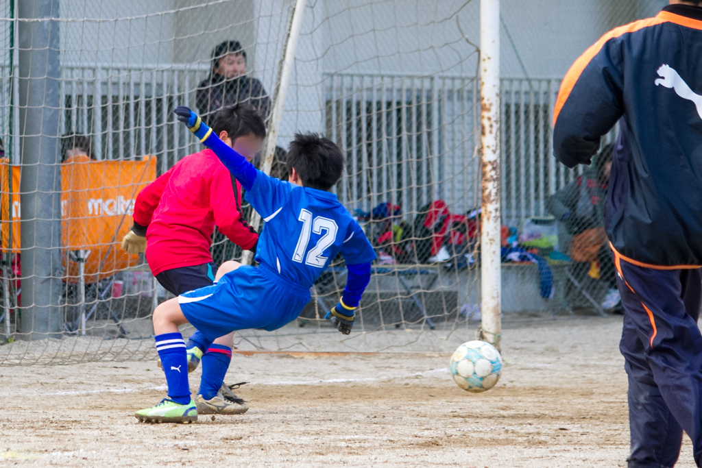 写真: IMG_6540
