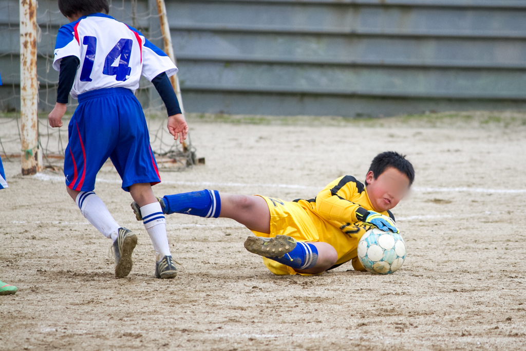 写真: IMG_6556