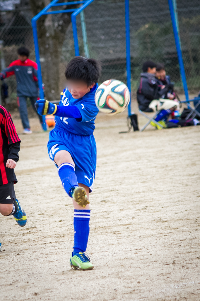 写真: IMG_6701