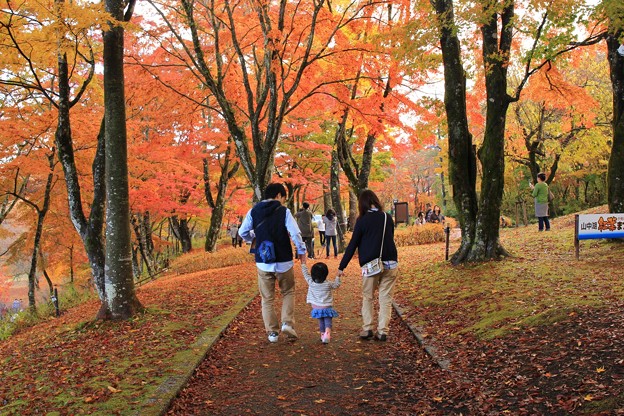 みんなで紅葉見学