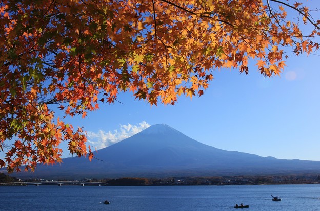2014富士河口湖紅葉祭り５