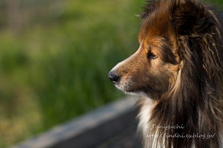 EF50 F1.4テスト撮影