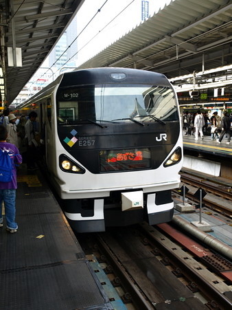 E257系(新宿駅)1