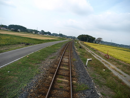 キハ40後方車窓8
