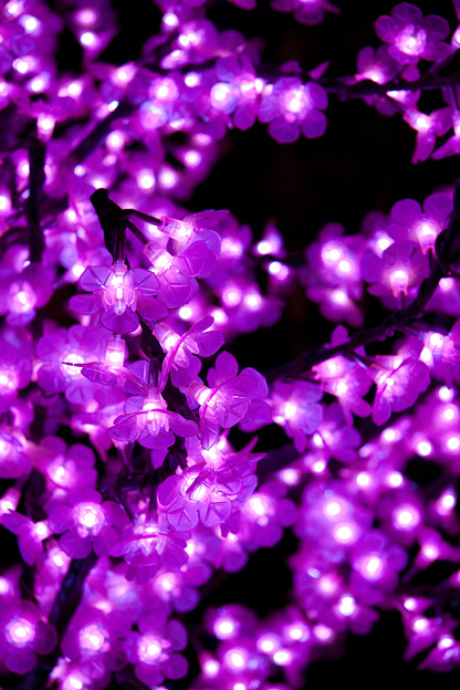 LEDの花