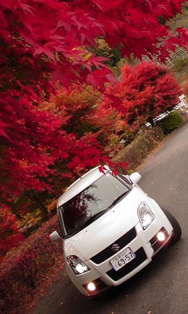 紅葉フォトそのに