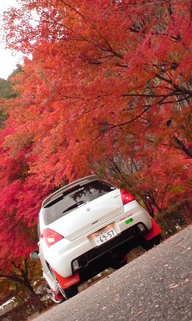紅葉フォトそのいち