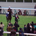 Photos: キタサンブラック 皆がお出迎え