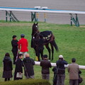 Photos: キタサンブラック 引退式様の馬服へ